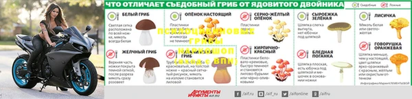 бошки Алексин
