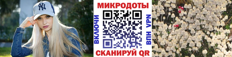 Галлюциногенные грибы ЛСД  дарнет шоп  Невинномысск 