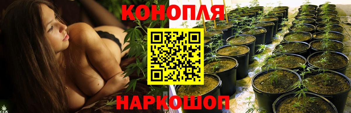 Бошки марихуана сатива  МАРИХУАНА планчик  Бошки марихуана Amnesia  Вход с VPN  Невинномысск 